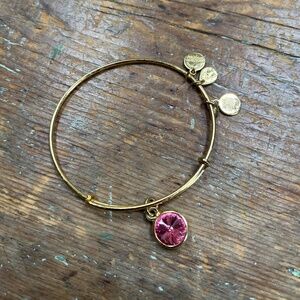 Alex and Ani bracelet garnet stone
